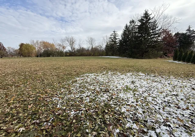 5th image of 12915 Archer Ave, Lemont, IL 60439 | MLS# 12515131