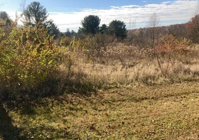 Photo 1 of Land for sale at 602 Cottonwood Ct, Dixon, IL 61021 | MLS# 12522355 | Listing updated on 2026-10-07
