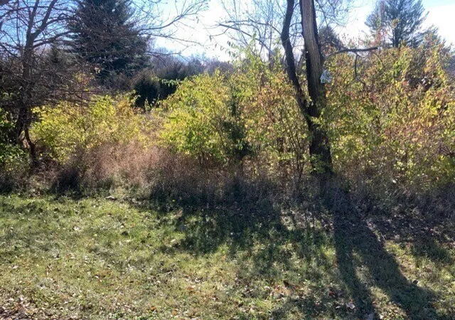 Photo 2 of Land for sale at 602 Cottonwood Ct, Dixon, IL 61021 | MLS# 12522355 | Listing updated on 2026-10-07