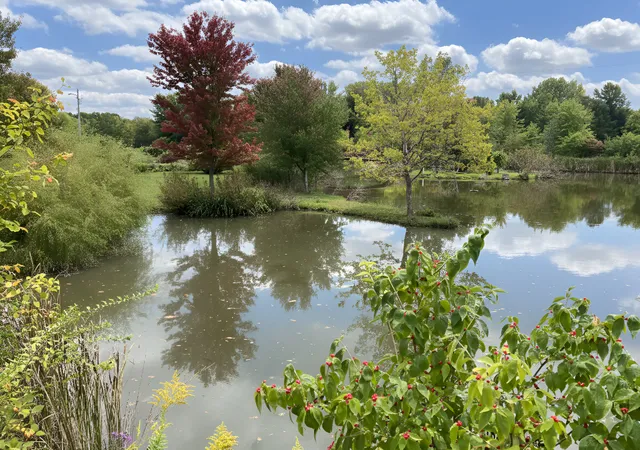 Photo 1 of Land for sale at (Undisclosed), St. Joseph, IL 61873 | MLS# 12545248 | Listing updated on 2026-10-29