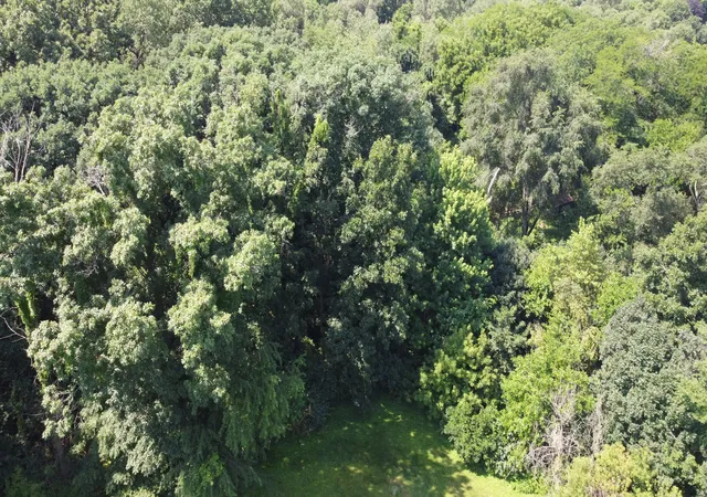 Photo 3 of Land for sale at 35w247 Fox River Dr, Saint Charles, IL 60174 | MLS# 12546412 | Listing updated on 2026-07-22