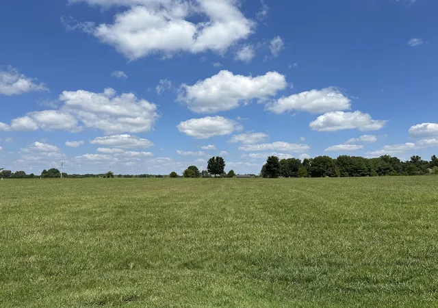 Photo 3 of Land for sale at 15316 E Holland Dr, Mt Vernon, IL 62864 | MLS# 12548972 | Listing updated on 2026-10-09