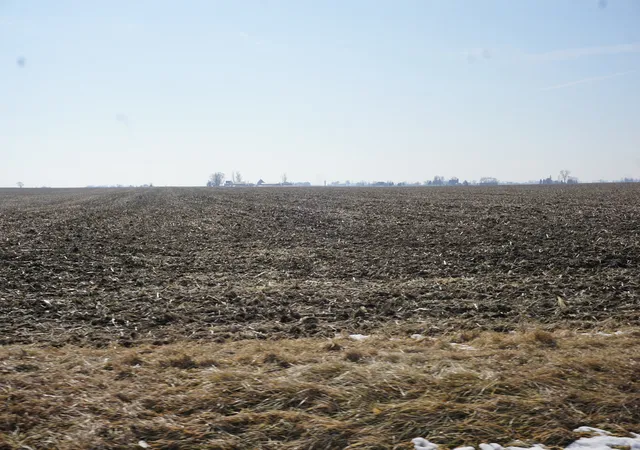 2nd image of 9110 East 11000 N Rd, Grant Park, IL 60940 | MLS# 12564773