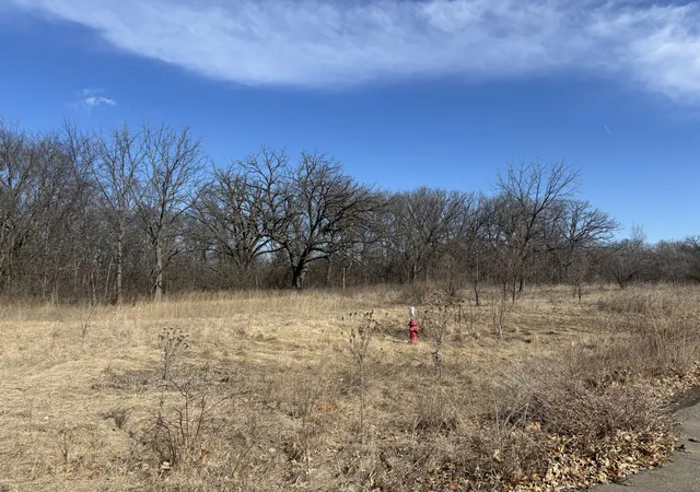 Homes for sale in Albany, IL | Lot 130 & Lot 131 Chippewa Trl, Albany, IL 61230 | MLS# 12568090