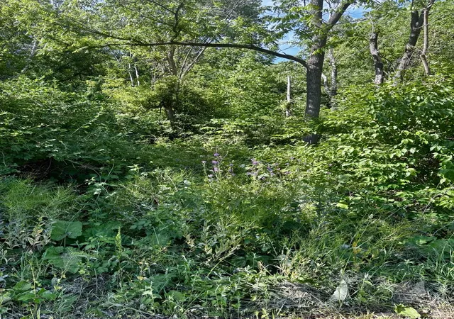 1st image of 21177 N Valley Rd, Kildeer, IL 60047 | MLS# 12577217