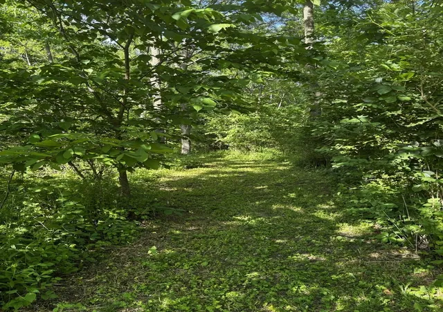 2nd image of 21177 N Valley Rd, Kildeer, IL 60047 | MLS# 12577217