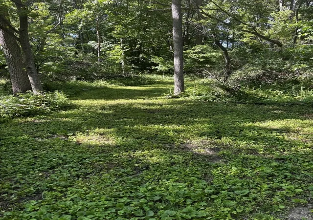 3rd image of 21177 N Valley Rd, Kildeer, IL 60047 | MLS# 12577217