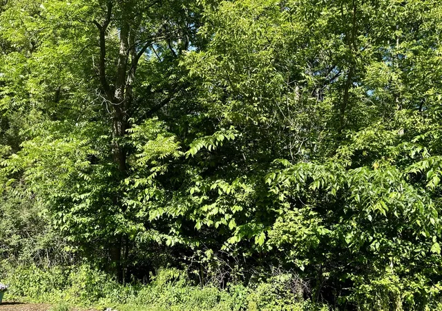 5th image of 21177 N Valley Rd, Kildeer, IL 60047 | MLS# 12577217