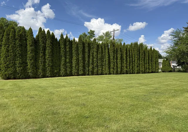 30th image of 1536 & 1546 Laharpe St, Lasalle, IL 61301 | MLS# 12584882