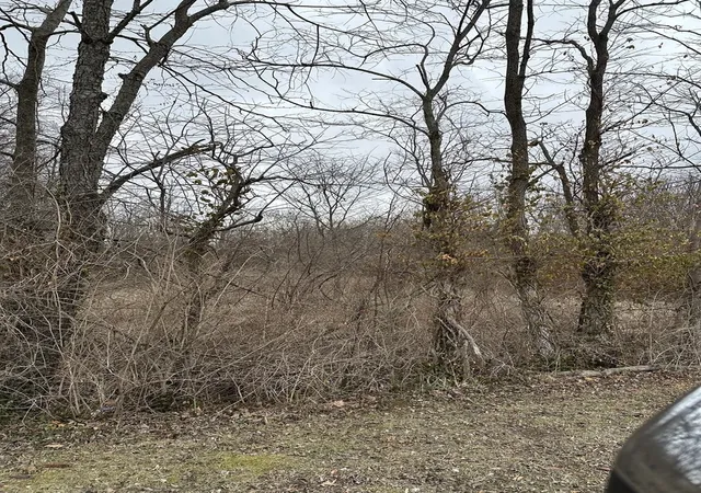 2nd image of Lot 1 Pecan Rd, Duquoin, IL 62832 | MLS# 12586921