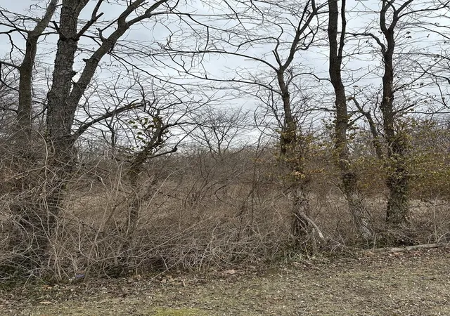 3rd image of Lot 1 Pecan Rd, Duquoin, IL 62832 | MLS# 12586921