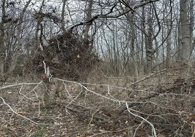 1st image of Lot 1 Pecan Rd, Duquoin, IL 62832 | MLS# 12586921