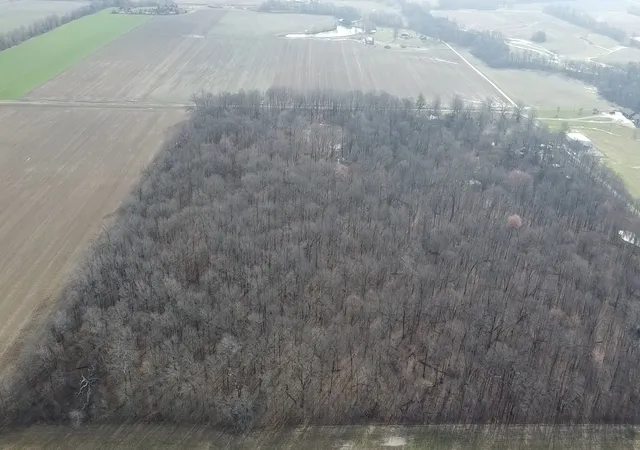 Photo 2 of Land for sale at 0 N Sparrow Ln, Mt Vernon, IL 62864 | MLS# 12587996 | Listing updated on 2026-08-03