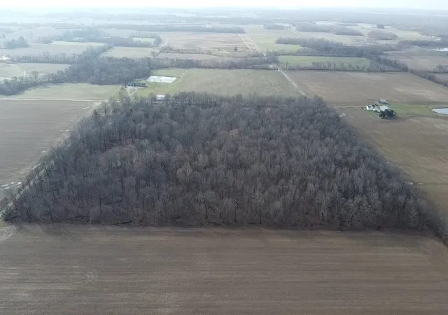Photo 3 of Land for sale at 0 N Sparrow Ln, Mt Vernon, IL 62864 | MLS# 12587996 | Listing updated on 2026-08-03