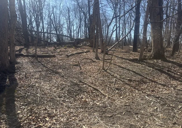 image of 839 Lake Wildwood Dr, Varna, IL 61375 | MLS# 12588317