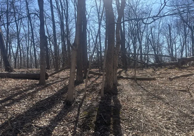 image of 839 Lake Wildwood Dr, Varna, IL 61375 | MLS# 12588317