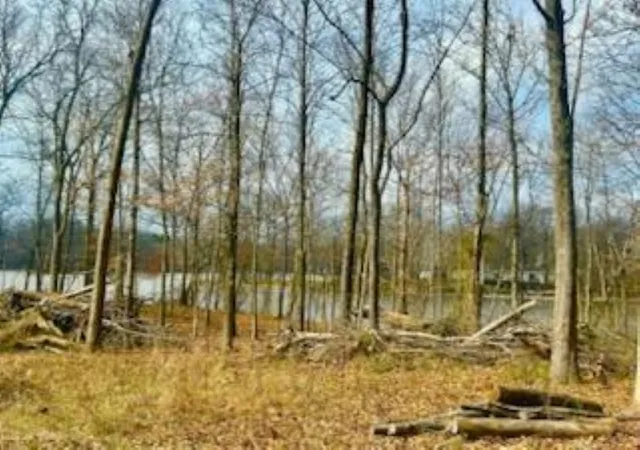 4th image of #16 Moses Manor Dr, Benton, IL 62812 | MLS# 12589541