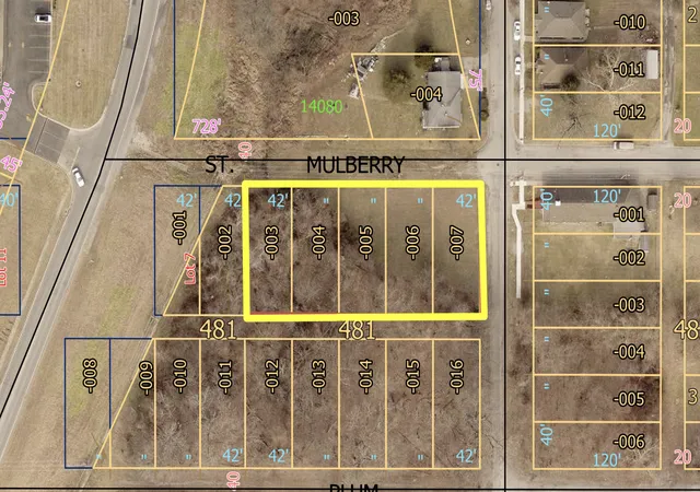 Photo 3 of Land for sale at 401 Mulberry St, Murphysboro, IL 62966 | MLS# 12594422 | Listing updated on 2026-08-23