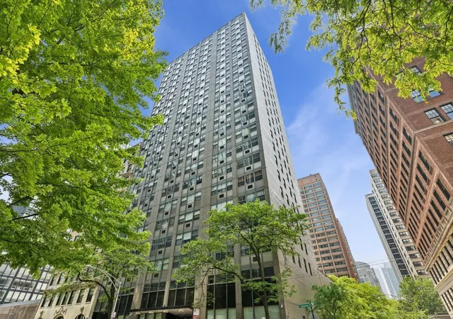 Homes for sale in Chicago, IL | 253 E Delaware Pl #22B, Chicago, IL 60611 | MLS# 12595519