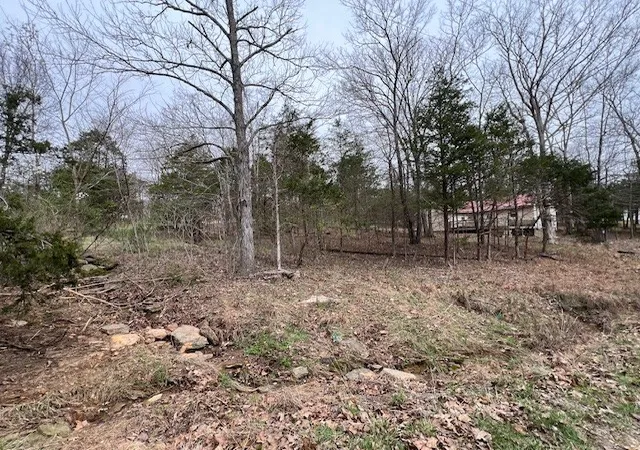 2nd image of Lot 1234 Indian Camp Dr, Goreville, IL 62939 | MLS# 12596728