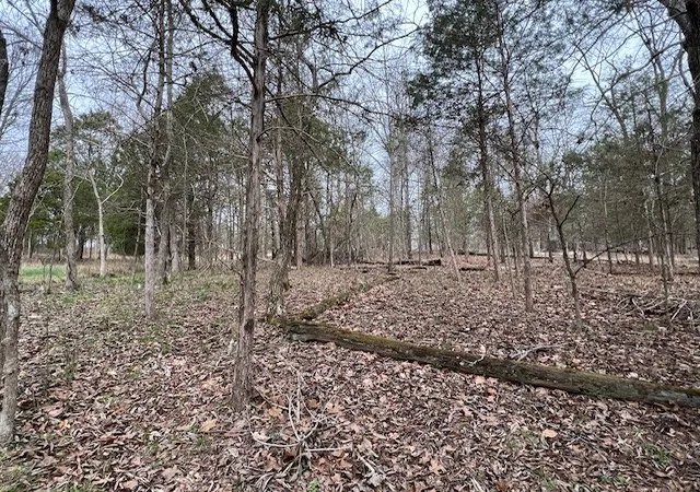 3rd image of Lot 1234 Indian Camp Dr, Goreville, IL 62939 | MLS# 12596728