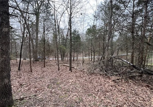 4th image of Lot 1234 Indian Camp Dr, Goreville, IL 62939 | MLS# 12596728