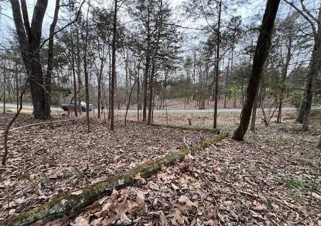 5th image of Lot 1234 Indian Camp Dr, Goreville, IL 62939 | MLS# 12596728