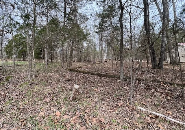 6th image of Lot 1234 Indian Camp Dr, Goreville, IL 62939 | MLS# 12596728