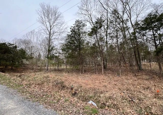 1st image of Lot 1234 Indian Camp Dr, Goreville, IL 62939 | MLS# 12596728
