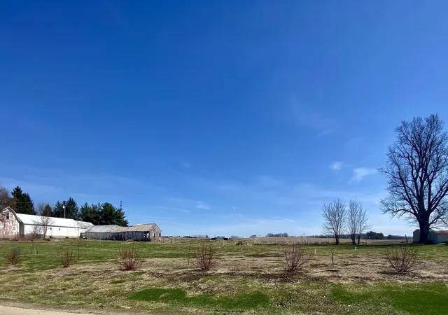 Photo 4 of Land for sale at 301 S Maple St, Wyanet, IL 61379 | MLS# 12598313 | Listing updated on 2026-09-02