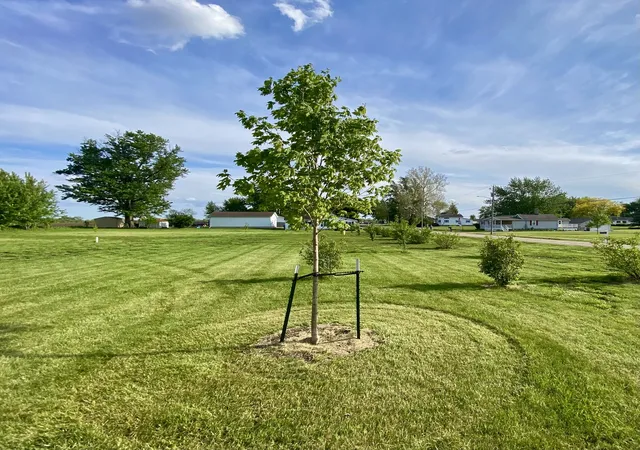 Photo 2 of Land for sale at 301 S Maple St, Wyanet, IL 61379 | MLS# 12598313 | Listing updated on 2026-09-02
