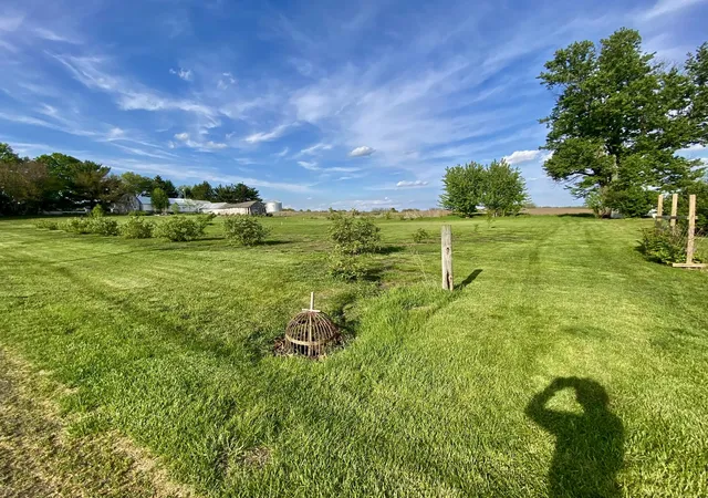 Photo 2 of Land for sale at 301 S Maple St, Wyanet, IL 61379 | MLS# 12598313 | Listing updated on 2026-09-02