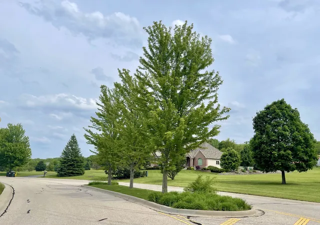 6th image of 7389 English Oak Ln, Spring Grove, IL 60081 | MLS# 12599452