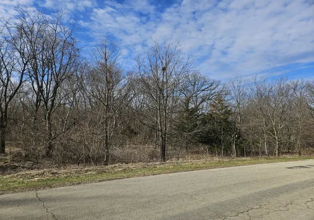 Photo 3 of Land for sale at 2616 N 3689th Road, Sheridan, IL 60551 | MLS# 12600013 | Listing updated on 2026-04-27