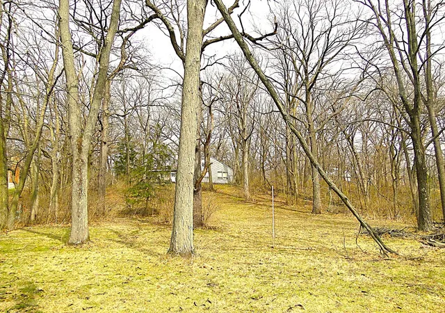 9th image of 20915 W Walton Rd, Wilmington, IL 60481 | MLS# 12600883
