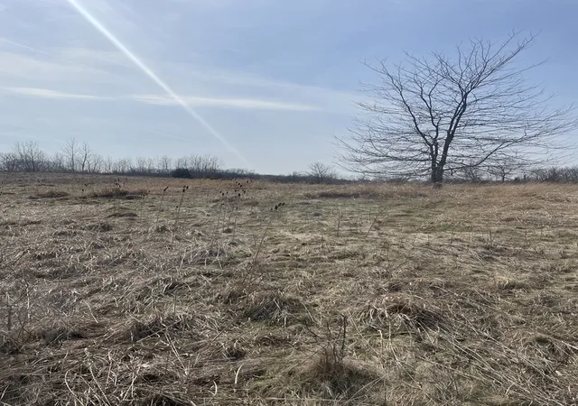 2nd image of 1055 E Grand Ave, Lindenhurst, IL 60046 | MLS# 12601261