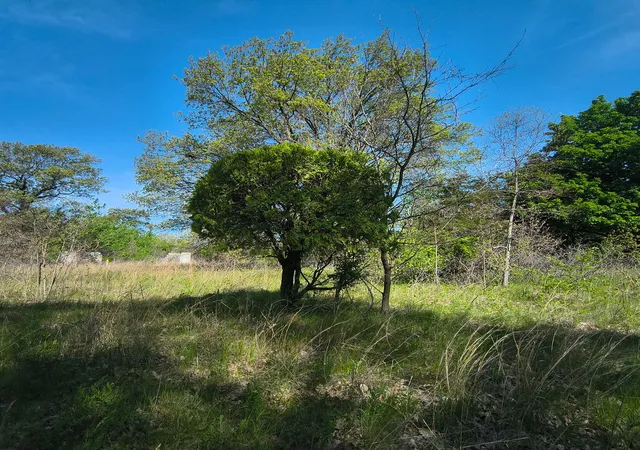 Photo 3 of Land for sale at 2240 S 15000 Road E, Pembroke Twp, IL 60958 | MLS# 12601309 | Listing updated on 2026-09-30