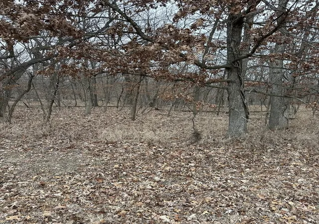 1st image of Lot 24 S Eagle Chase Dr, Seneca, IL 61360 | MLS# 12602349