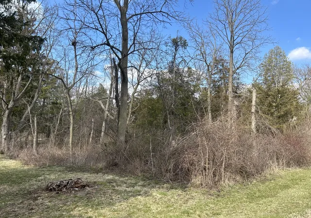 Homes for sale in Richmond, IL | Lot 17 & 18 Harding Ave, Richmond, IL 60071 | MLS# 12603789
