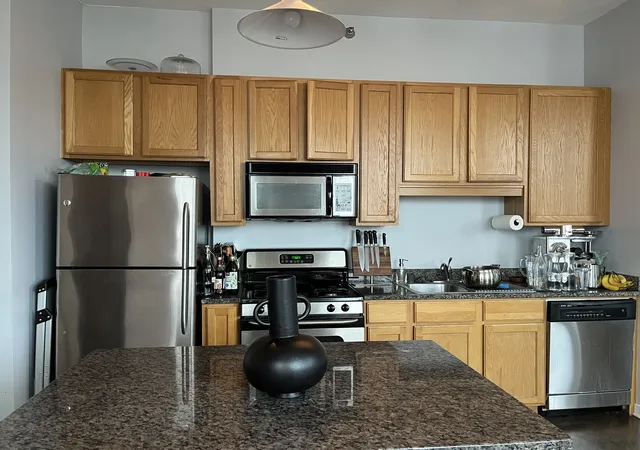 Homes for sale in Chicago, IL | 1600 S Indiana Ave #1010, Chicago, IL 60616 | MLS# 12604862