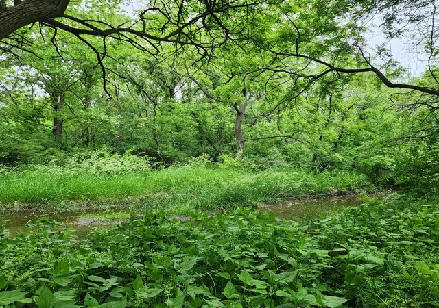 3rd image of Lot 3607 E 1769 Rd, Ottawa, IL 61350 | MLS# 12606943