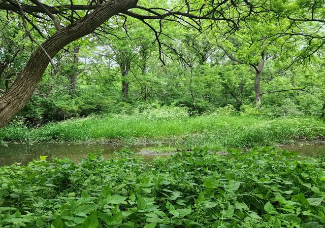 4th image of Lot 3607 E 1769 Rd, Ottawa, IL 61350 | MLS# 12606943