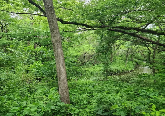 5th image of Lot 3607 E 1769 Rd, Ottawa, IL 61350 | MLS# 12606943