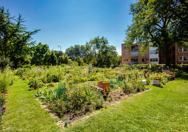 2nd image of 5838 S Stony Island Ave, Chicago, IL 60637