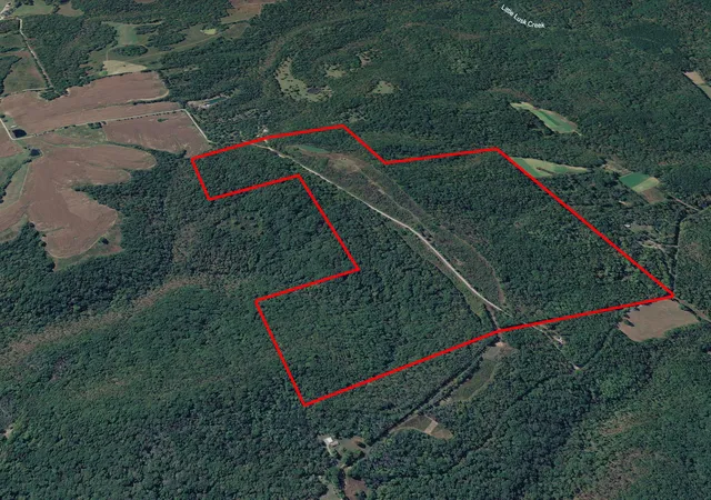 Photo 2 of Land for sale at 191 Bruce Johnson Rd, Herod, IL 62947 | MLS# 12608305 | Listing updated on 2026-06-29
