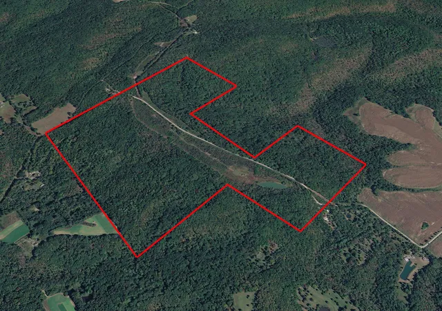 Photo 1 of Land for sale at 191 Bruce Johnson Rd, Herod, IL 62947 | MLS# 12608305 | Listing updated on 2026-06-29