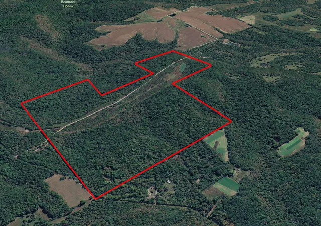 Photo 2 of Land for sale at 191 Bruce Johnson Rd, Herod, IL 62947 | MLS# 12608305 | Listing updated on 2026-06-29