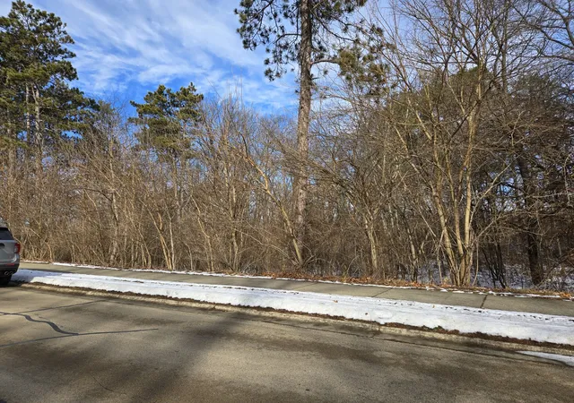 4th image of (Undisclosed), Essex, IL 60935 | MLS# 12609425