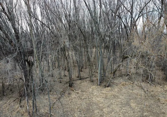 Photo 2 of Land for sale at Lot 2 Palm St, Mc Henry, IL 60051 | MLS# 12614092 | Listing updated on 2026-04-26