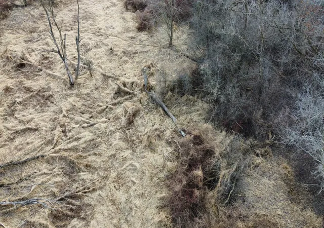 Photo 2 of Land for sale at Lot 2 Palm St, Mc Henry, IL 60051 | MLS# 12614092 | Listing updated on 2026-04-26